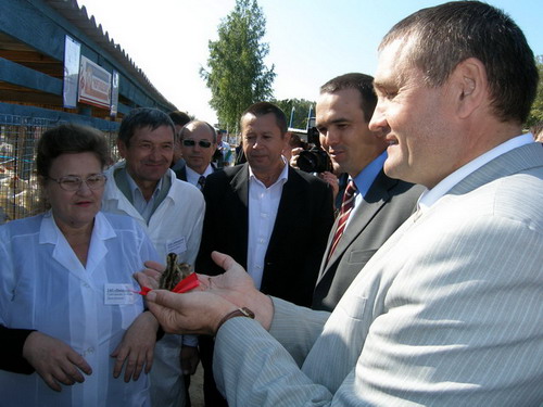 09:18 На республиканской выставке племенных животных было представлено более 210 голов КРС, свиней, овец, лошадей и другой живности